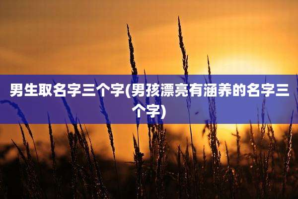 男生取名字三个字(男孩漂亮有涵养的名字三个字)
