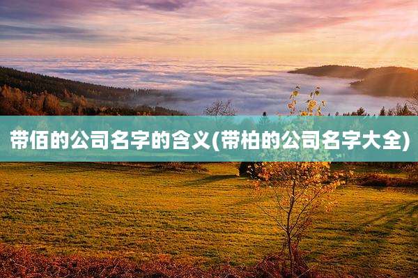 带佰的公司名字的含义(带柏的公司名字大全)