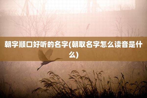 朝字顺口好听的名字(朝取名字怎么读音是什么)