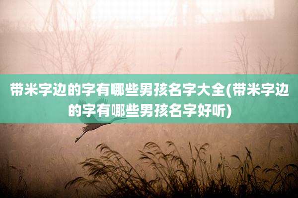 带米字边的字有哪些男孩名字大全(带米字边的字有哪些男孩名字好听)