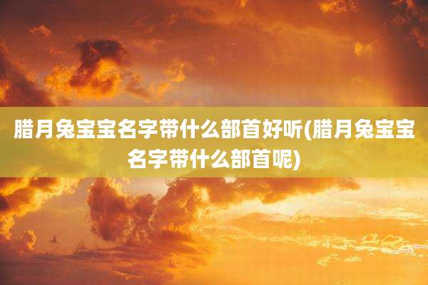 腊月兔宝宝名字带什么部首好听(腊月兔宝宝名字带什么部首呢)