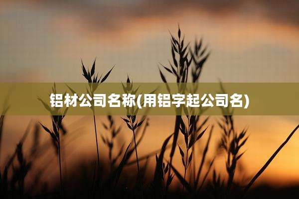 铝材公司名称(用铝字起公司名)