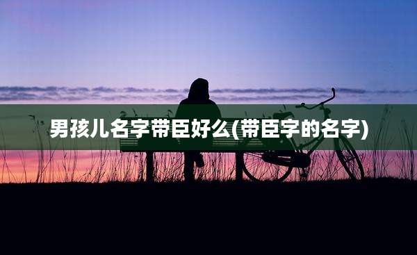 男孩儿名字带臣好么(带臣字的名字)