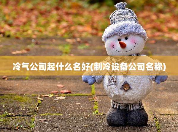 冷气公司起什么名好(制冷设备公司名称)