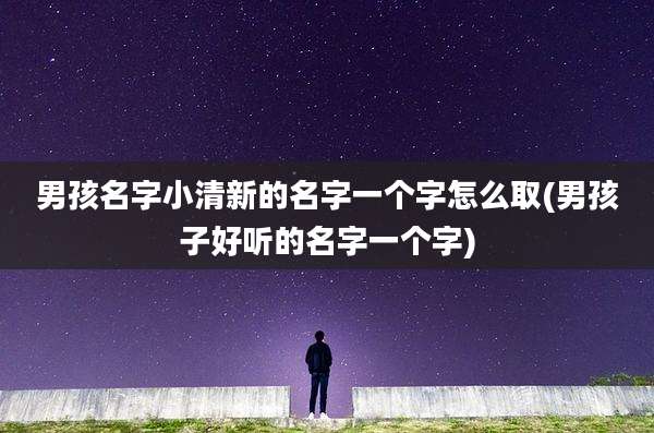 男孩名字小清新的名字一个字怎么取(男孩子好听的名字一个字)