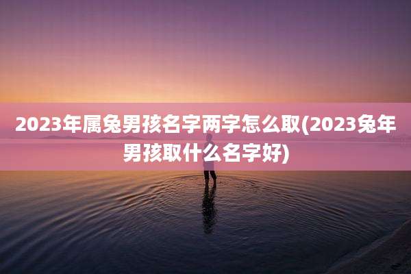 2023年属兔男孩名字两字怎么取(2023兔年男孩取什么名字好)
