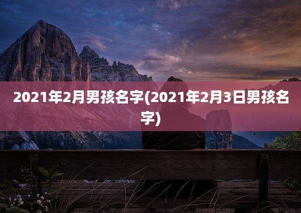 2021年2月男孩名字(2021年2月3日男孩名字)