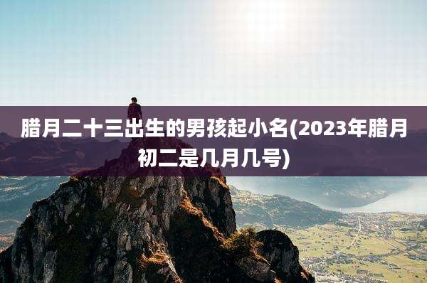 腊月二十三出生的男孩起小名(2023年腊月初二是几月几号)