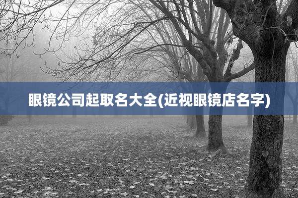 眼镜公司起取名大全(近视眼镜店名字)