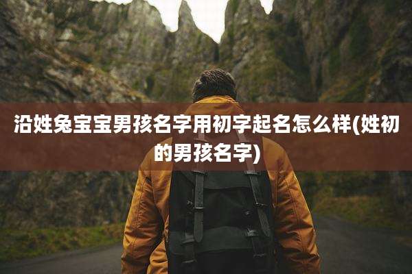 沿姓兔宝宝男孩名字用初字起名怎么样(姓初的男孩名字)