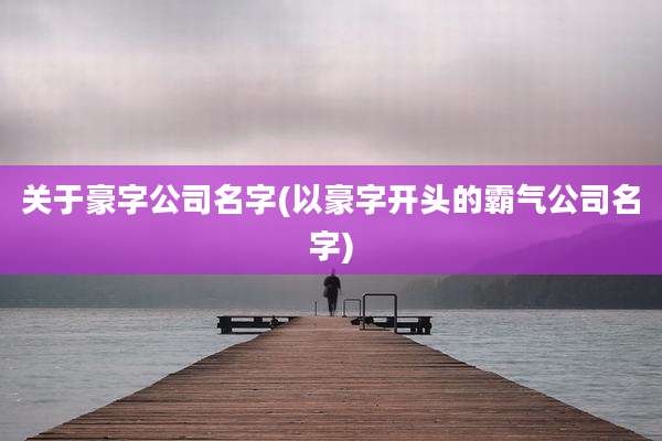 关于豪字公司名字(以豪字开头的霸气公司名字)