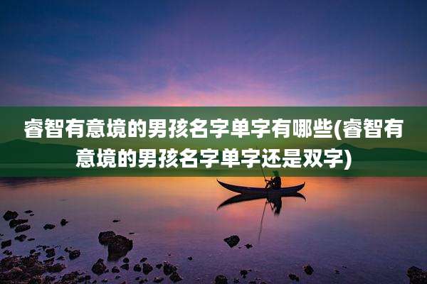 睿智有意境的男孩名字单字有哪些(睿智有意境的男孩名字单字还是双字)