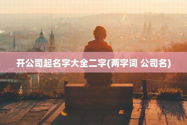 开公司起名字大全二字(两字词 公司名)