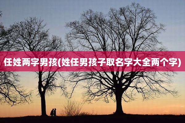 任姓两字男孩(姓任男孩子取名字大全两个字)
