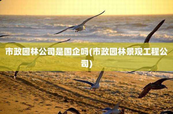 市政园林公司是国企吗(市政园林景观工程公司)