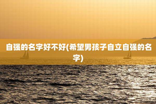 自强的名字好不好(希望男孩子自立自强的名字)