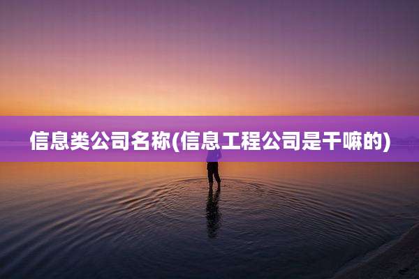 信息类公司名称(信息工程公司是干嘛的)