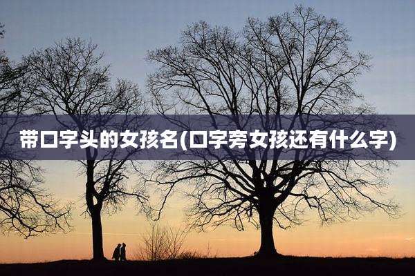 带口字头的女孩名(口字旁女孩还有什么字)