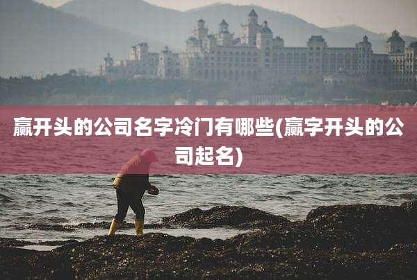 赢开头的公司名字冷门有哪些(赢字开头的公司起名)