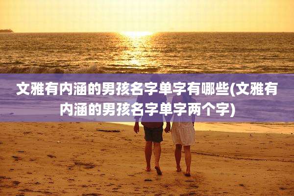 文雅有内涵的男孩名字单字有哪些(文雅有内涵的男孩名字单字两个字)