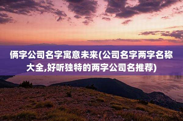 俩字公司名字寓意未来(公司名字两字名称大全,好听独特的两字公司名推荐)