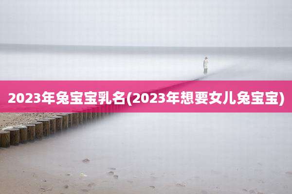2023年兔宝宝乳名(2023年想要女儿兔宝宝)