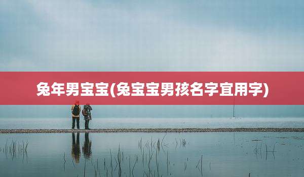 兔年男宝宝(兔宝宝男孩名字宜用字)