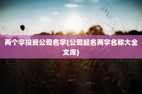 两个字投资公司名字(公司起名两字名称大全文库)