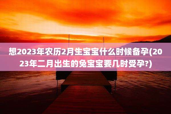 想2023年农历2月生宝宝什么时候备孕(2023年二月出生的兔宝宝要几时受孕?)