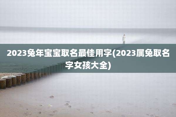 2023兔年宝宝取名最佳用字(2023属兔取名字女孩大全)