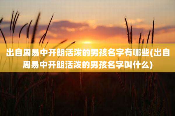 出自周易中开朗活泼的男孩名字有哪些(出自周易中开朗活泼的男孩名字叫什么)