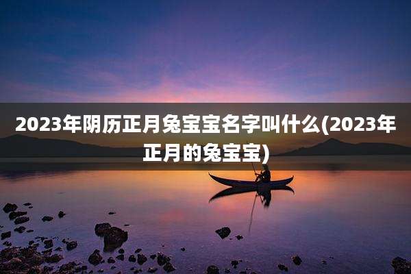 2023年阴历正月兔宝宝名字叫什么(2023年正月的兔宝宝)