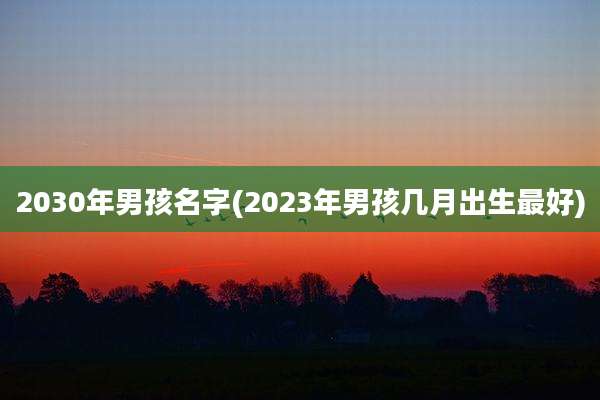 2030年男孩名字(2023年男孩几月出生最好)