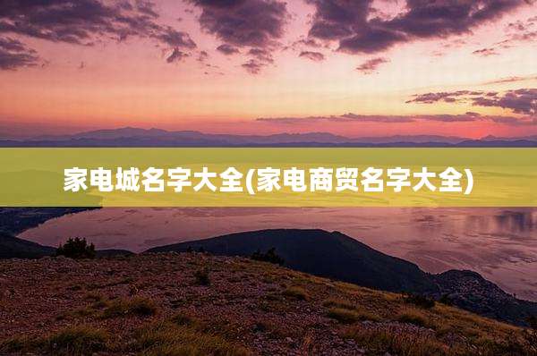 家电城名字大全(家电商贸名字大全)