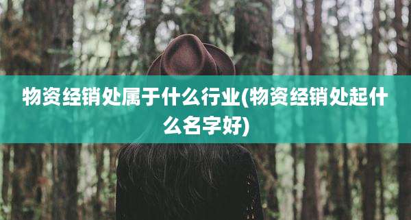 物资经销处属于什么行业(物资经销处起什么名字好)