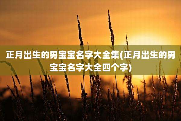 正月出生的男宝宝名字大全集(正月出生的男宝宝名字大全四个字)