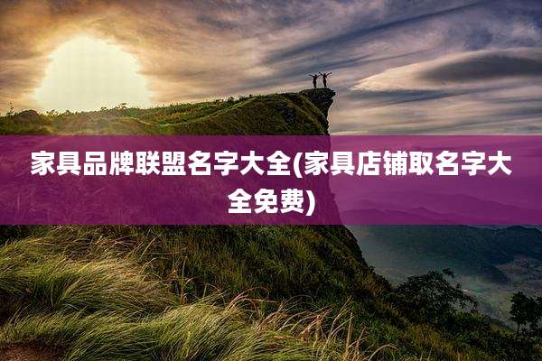 家具品牌联盟名字大全(家具店铺取名字大全免费)