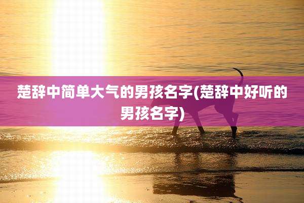 楚辞中简单大气的男孩名字(楚辞中好听的男孩名字)