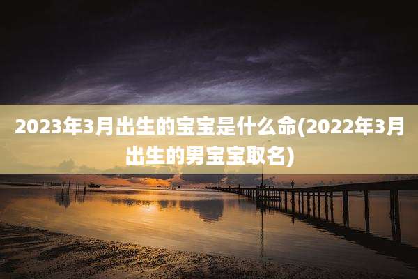 2023年3月出生的宝宝是什么命(2022年3月出生的男宝宝取名)