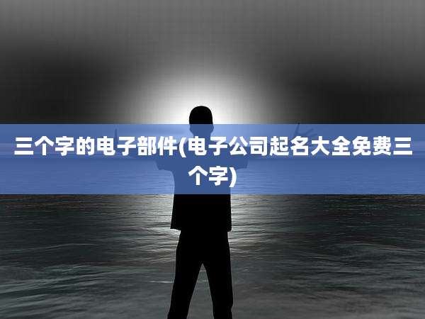 三个字的电子部件(电子公司起名大全免费三个字)