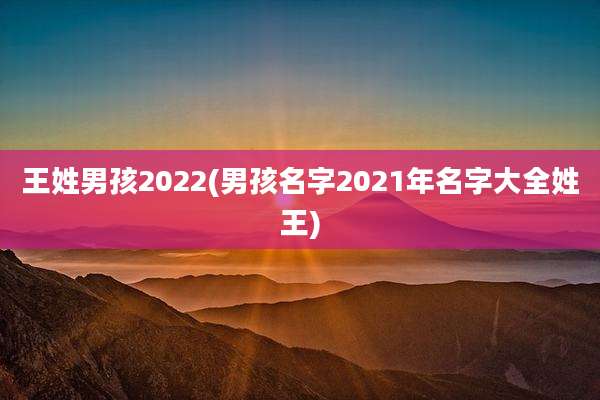 王姓男孩2022(男孩名字2021年名字大全姓王)