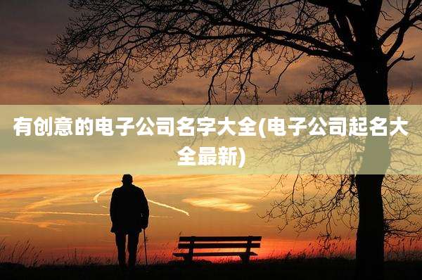 有创意的电子公司名字大全(电子公司起名大全最新)