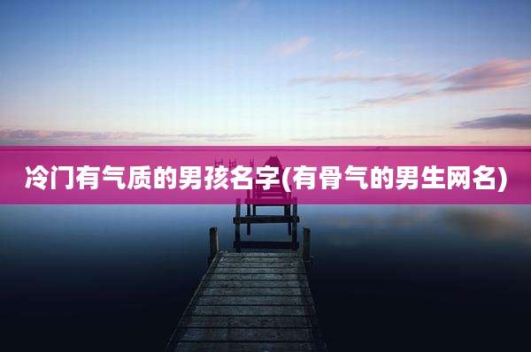 冷门有气质的男孩名字(有骨气的男生网名)