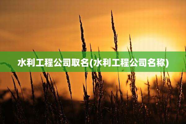 水利工程公司取名(水利工程公司名称)
