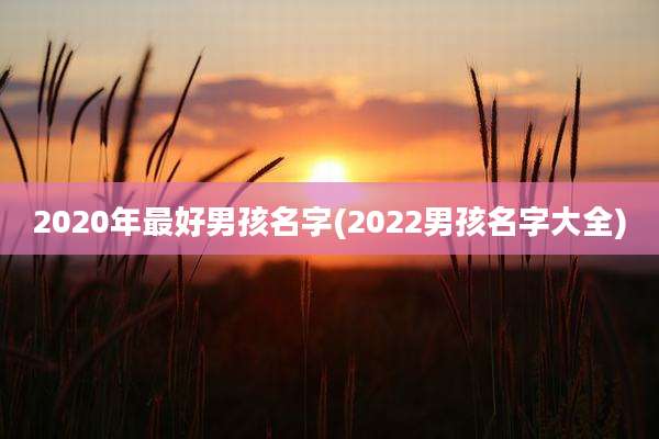 2020年最好男孩名字(2022男孩名字大全)