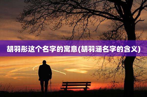 胡羽彤这个名字的寓意(胡羽涵名字的含义)