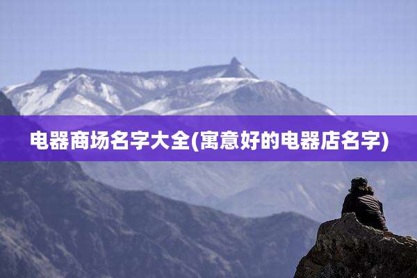 电器商场名字大全(寓意好的电器店名字)