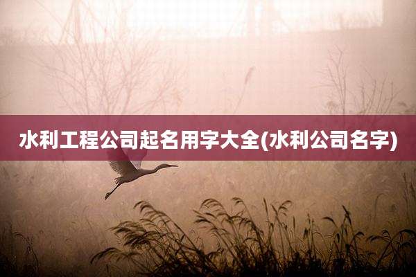 水利工程公司起名用字大全(水利公司名字)