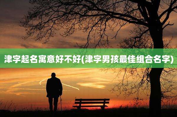 津字起名寓意好不好(津字男孩最佳组合名字)