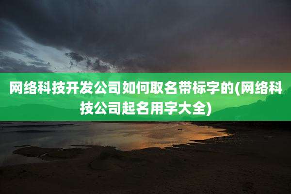 网络科技开发公司如何取名带标字的(网络科技公司起名用字大全)